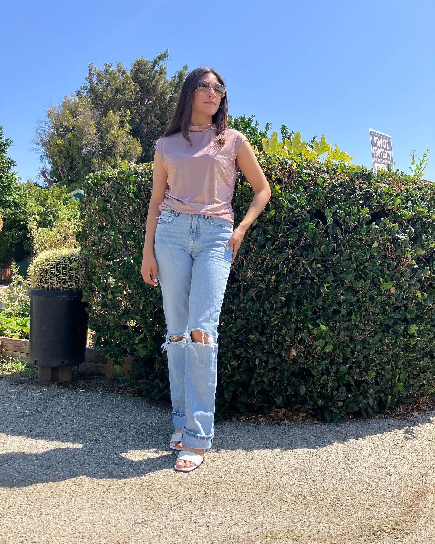 Metallic Blush Pink Top